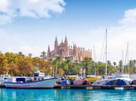 puerto-portals-en-mallorca
