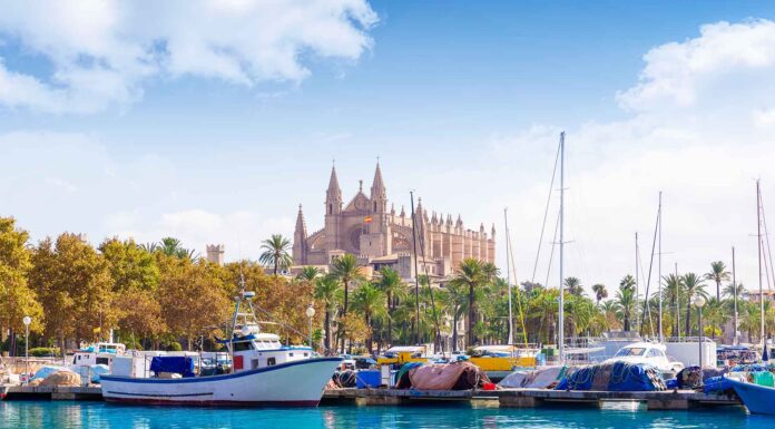 puerto-portals-en-mallorca