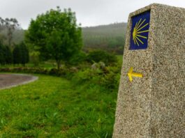 como-elegir-entre-las-distintas-rutas-del-Camino-de-Santiago