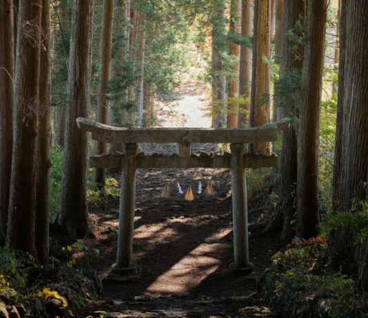 Japomundi | Una nueva forma de viajar a Japón